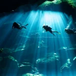 2 Buceos en Cenotes Kukulcan y Chac Mool
