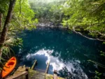 2 Buceos en Cenote Angelita más otro Cenote - Imagen 4
