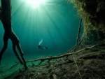 2 Buceos en Cenote Angelita y Carwash - Imagen 2