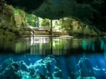 2 Buceos en Cenote Chikin Ha - Imagen 2