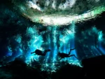2 Buceos en Cenote Dos Ojos
