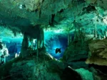2 Buceos en Cenote Dos Ojos - Imagen 2