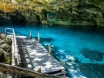 2 Buceos en Cenote Dos Ojos - Imagen 3