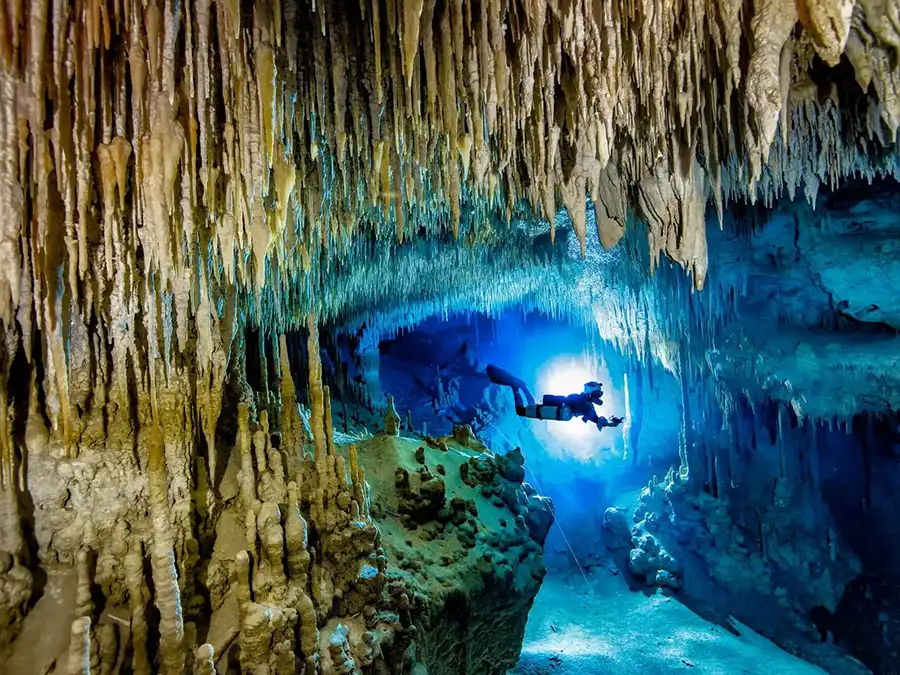 cenote-dreamgate-01 2 Buceos en Cenote Dreamgate - Imagen 1