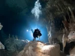 2 Buceos en Cenote Dreamgate - Imagen 2
