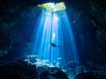 2 Buceos en Cenotes El Pit y Dos Ojos