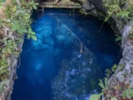 2 Buceos en Cenotes El Pit y Dos Ojos - Imagen 3
