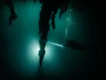 2 Buceos en Cenote La Orquídea más otro Cenote