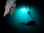 2 Buceos en Cenote La Orquídea más otro Cenote - Imagen 2