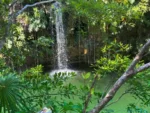 2 Buceos en Cenote La Orquídea más otro Cenote - Imagen 3
