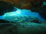 2 Buceos en Cenotes El Pit y Nicte Ha - Imagen 2