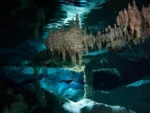 2 Buceos en Cenote Nohoch Nah Chich - Imagen 3