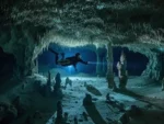 2 Buceos en Cenote Nohoch Nah Chich - Imagen 2