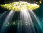 2 Buceos en Cenote Ponderosa / Edén - Imagen 2