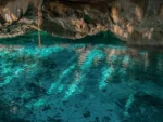 2 Buceos en Cenote Ponderosa / Edén - Imagen 3