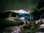 2 Buceos en Cenote Taak Bi Ha y Taak Bi Luum - Imagen 3