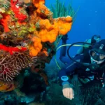2 Buceos en Mar Arrecifes Cozumel
