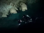 2 Buceos en Cenotes Zapote y Kin Ha - Imagen 4