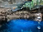 2 Buceos en Cenotes Zapote y Kin Ha - Imagen 5