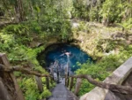 2 Buceos en Cenotes Maravilla y Zapote - Imagen 4