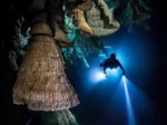 2 Buceos en Cenotes Zapote y Kin Ha