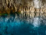 2 Buceos en Cenotes Zapote y Kin Ha - Imagen 3
