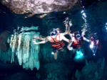 Snorkel en Cenote con Guía