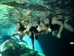 Snorkel en Cenote con Guía - Imagen 3