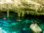 Snorkel en Cenote con Guía - Imagen 4