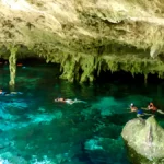 Snorkel en Cenote sin Guía