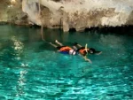 Snorkel en Cenote con Guía - Imagen 5